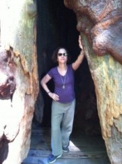 DB at Muir Woods